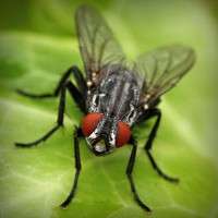 /album/saleny-vychod/photolia-a01-jpg/