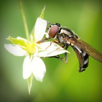 /album/saleny-vychod/photolia-a02-jpg/