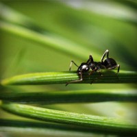 /album/saleny-vychod/photolia-a05-jpg/
