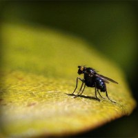 /album/saleny-vychod/photolia-a07-jpg/