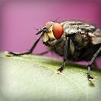 /album/saleny-vychod/photolia-a08-jpg/
